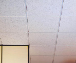 TVS Mineral acoustic ceiling tiles