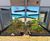 Engaging School SuDS Planters and features for East Sussex 4