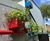 Engaging School SuDS Planters and features for East Sussex 5