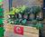 Engaging School SuDS Planters and features for East Sussex 14