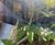 Engaging School SuDS Planters and features for East Sussex 15