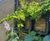 Engaging School SuDS Planters and features for East Sussex 16
