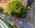 Kennington Oval Street Furniture and School Streets 1