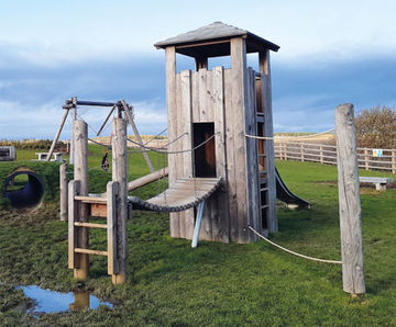 Tower Combination 49 - larch wood playground climbing structure