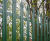 Urban Palisade Security Fencing - steel anti-climb perimeter fence system 2
