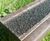 GripMaxx™ - anti-slip surface for outdoor bridges and walkways 1