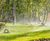Commercial Landscape Irrigation Systems 0