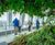 Sky Garden, 20 Fenchurch Street — Level 35 irrigation & misting 1
