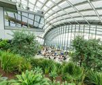 Sky Garden, 20 Fenchurch Street — Level 35 irrigation & misting