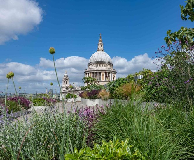 Design and installation of irrigation system at 25 Cannon Street
