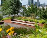 For Landscape Architects