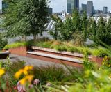 For Landscape Architects - on this page