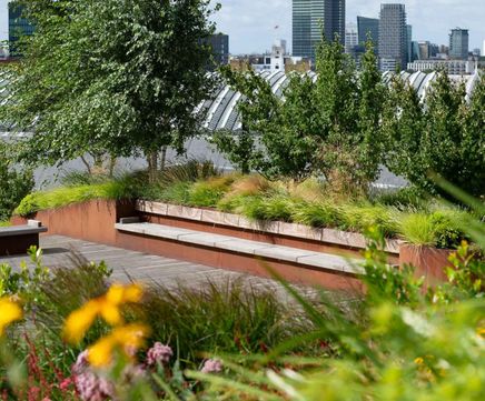 For Landscape Architects