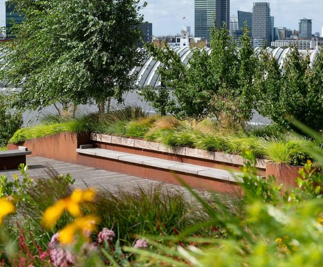 For Landscape Architects