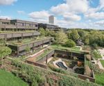 Landscape irrigation and water feature, Plant refurbishment, Basingstoke