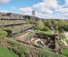 Landscape irrigation and water feature, Plant refurbishment, Basingstoke