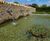 Distinctive water feature and irrigation system, The Creamery, Castle Cary 0