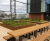 Ambit - integrated timber seating for steel planter systems 6