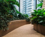 Planterline - curved structural steel planter walls