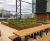 Planterline Custom - steel planter panels for landscape and terraces 4