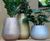 Divona fibreglass range of planters and vases 14