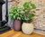 Cityscape Skyline - spherical fibreglass outdoor planters 8