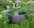 Divona water bowl - raised ponds for patios, terraces and planting beds 0