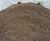 Intensive Green Roof Substrate - lightweight soil for roof gardens 1
