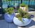 Visit Livingreen Design at the Second Annual North Scotland Garden Show 0