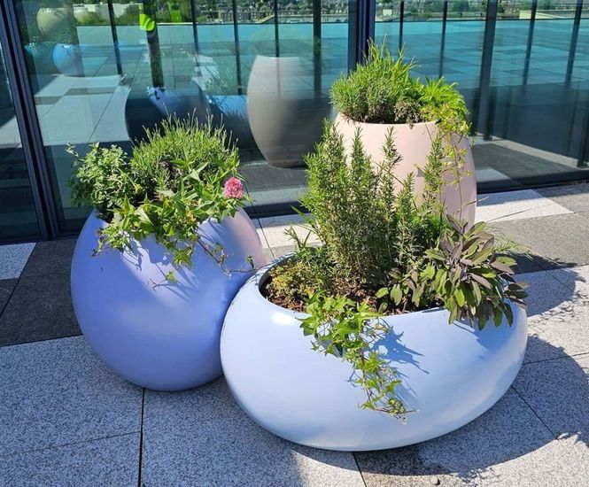 Visit Livingreen Design at the Second Annual North Scotland Garden Show