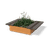 Bento Big Green Benches 4