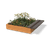 Bento Big Green Benches 6