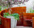 Microbes and Minds Garden, Alzheimer’s Society, Chelsea Flower Show 2026 0
