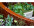 Microbes and Minds Garden, Alzheimer’s Society, Chelsea Flower Show 2026 5