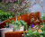 Microbes and Minds Garden, Alzheimer’s Society, Chelsea Flower Show 2026 9