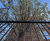 London community garden secured with vertical bar railings 5