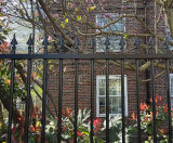 London community garden secured with vertical bar railings - on this page