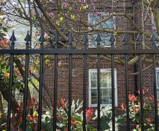 London community garden secured with vertical bar railings