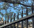London community garden secured with vertical bar railings 7