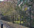 London community garden secured with vertical bar railings 8
