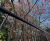 London community garden secured with vertical bar railings 10