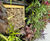 G-wall - modular living wall system 3