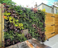 G-WALL - modular living wall for private courtyard garden