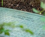 Commercial Water Feature & Irrigation Installation