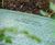 Commercial Water Feature & Irrigation Installation 0
