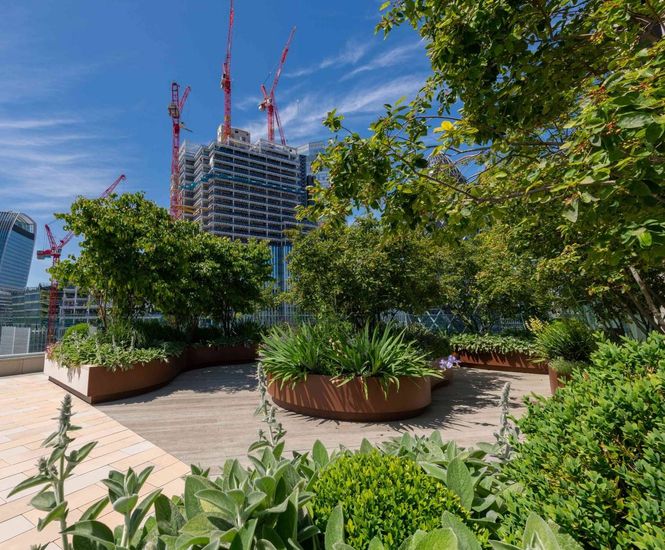 Podium landscape water irrigation system - 80 Fenchurch Street