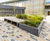 Thornton Building - Bespoke planters and integrated Accoya timber seating 4