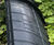 ACO Safeguards Frog and Toad Migratory Paths with One-Way Fencing 1