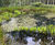 ACO Safeguards Frog and Toad Migratory Paths with One-Way Fencing 3