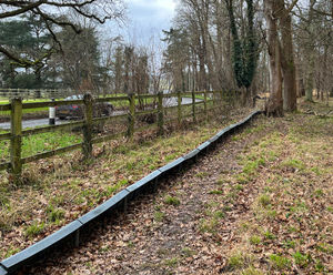 ACO Safeguards Frog and Toad Migratory Paths with One-Way Fencing